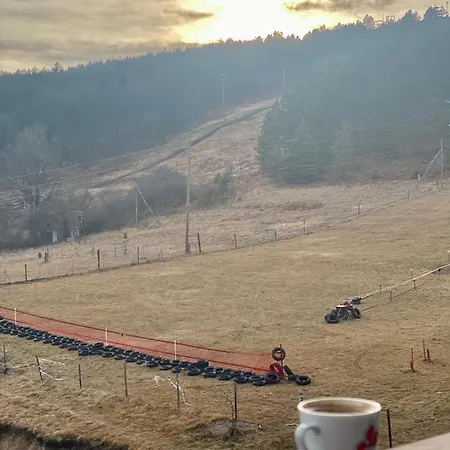 Apartment Apartmani Vila Goc Berg Goč