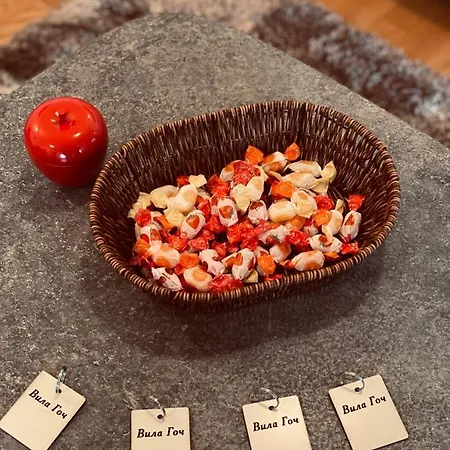 Apartmani Vila Goc Apartment Berg Goč